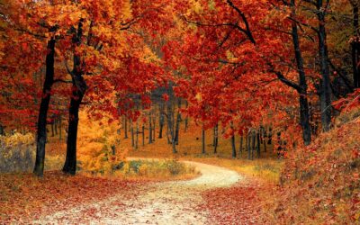 Fall Activities You Should Do in Utah
