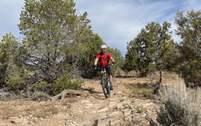 The Best Places To Mountain Bike in SLC