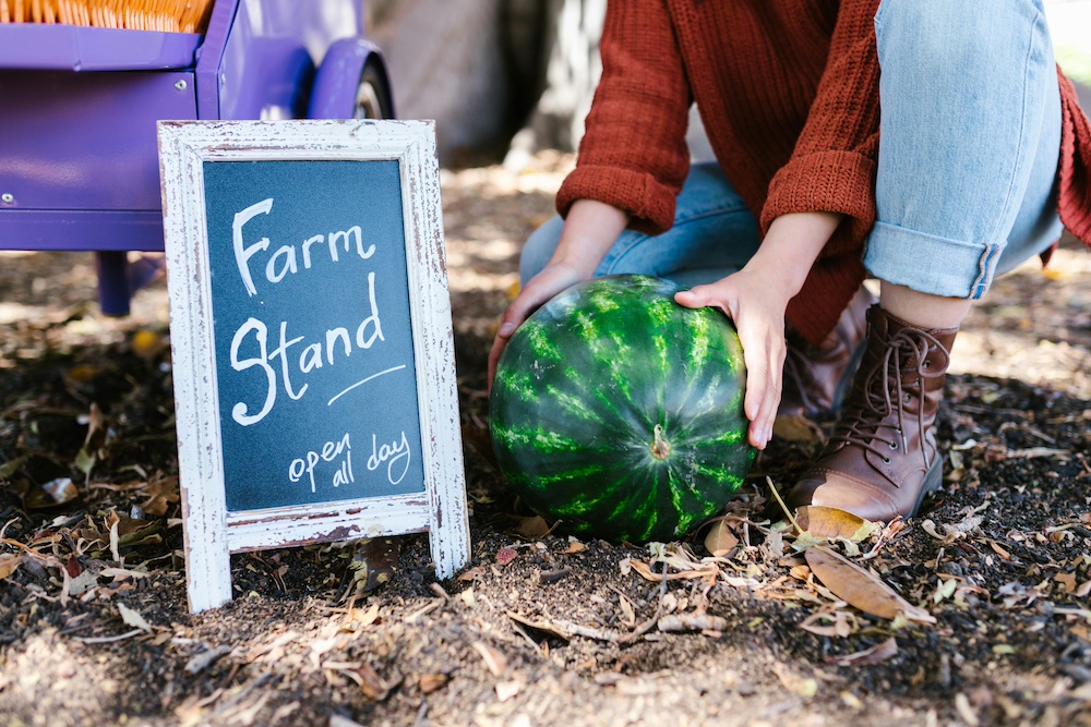 Exploring Salt Lake City's Best Farmers Markets