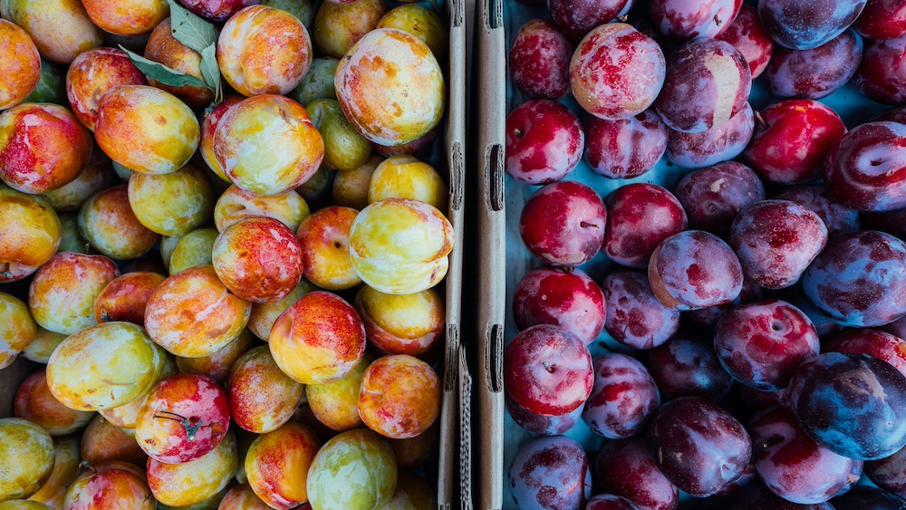 farmers-market-salt-lake-city-1