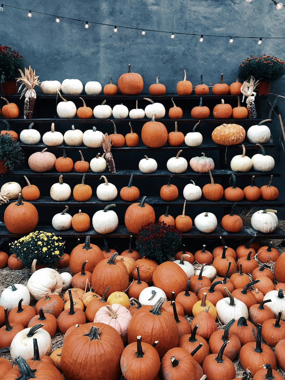 Fall Festivals and Events in Salt Lake You Can't Miss-halloween