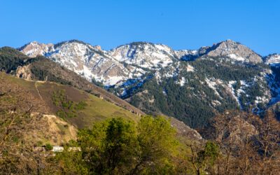 The Pros and Cons of Owning a Vacation Home Near Salt Lake City