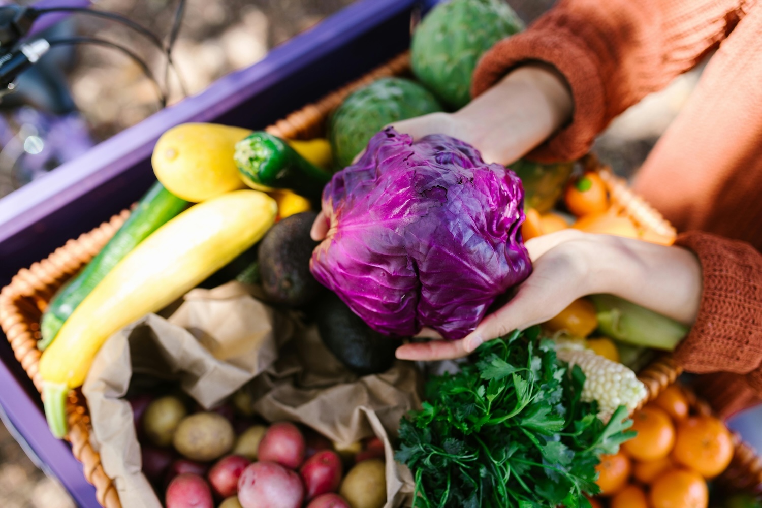 SLC-Neighborhood-Guide-Where-to-Find-the-Best-Farmer’s-Markets-and-Summer-Festivals