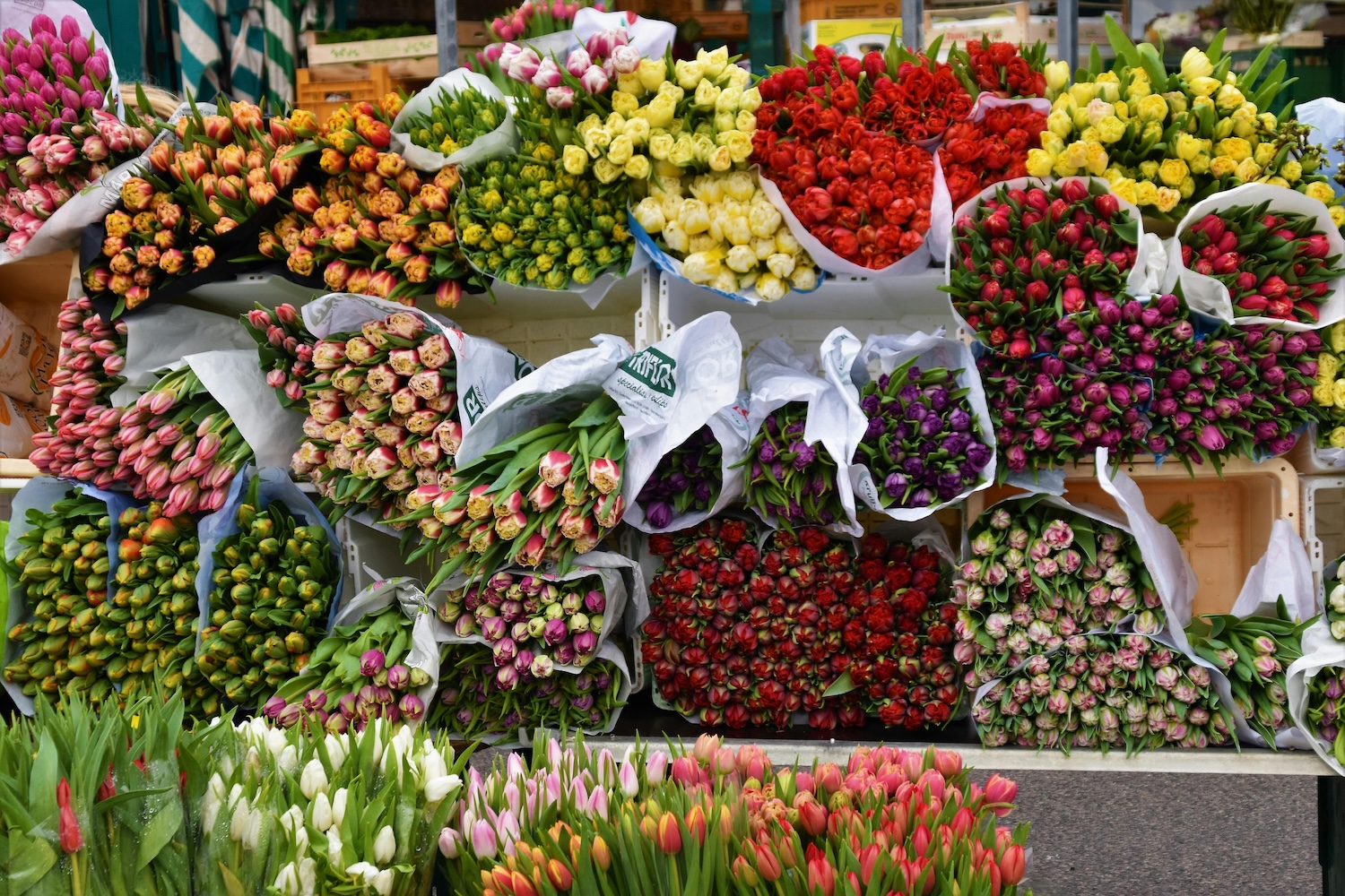 SLC-Neighborhood-Guide-Where-to-Find-the-Best-Farmer’s-Markets-and-Summer-Festivals