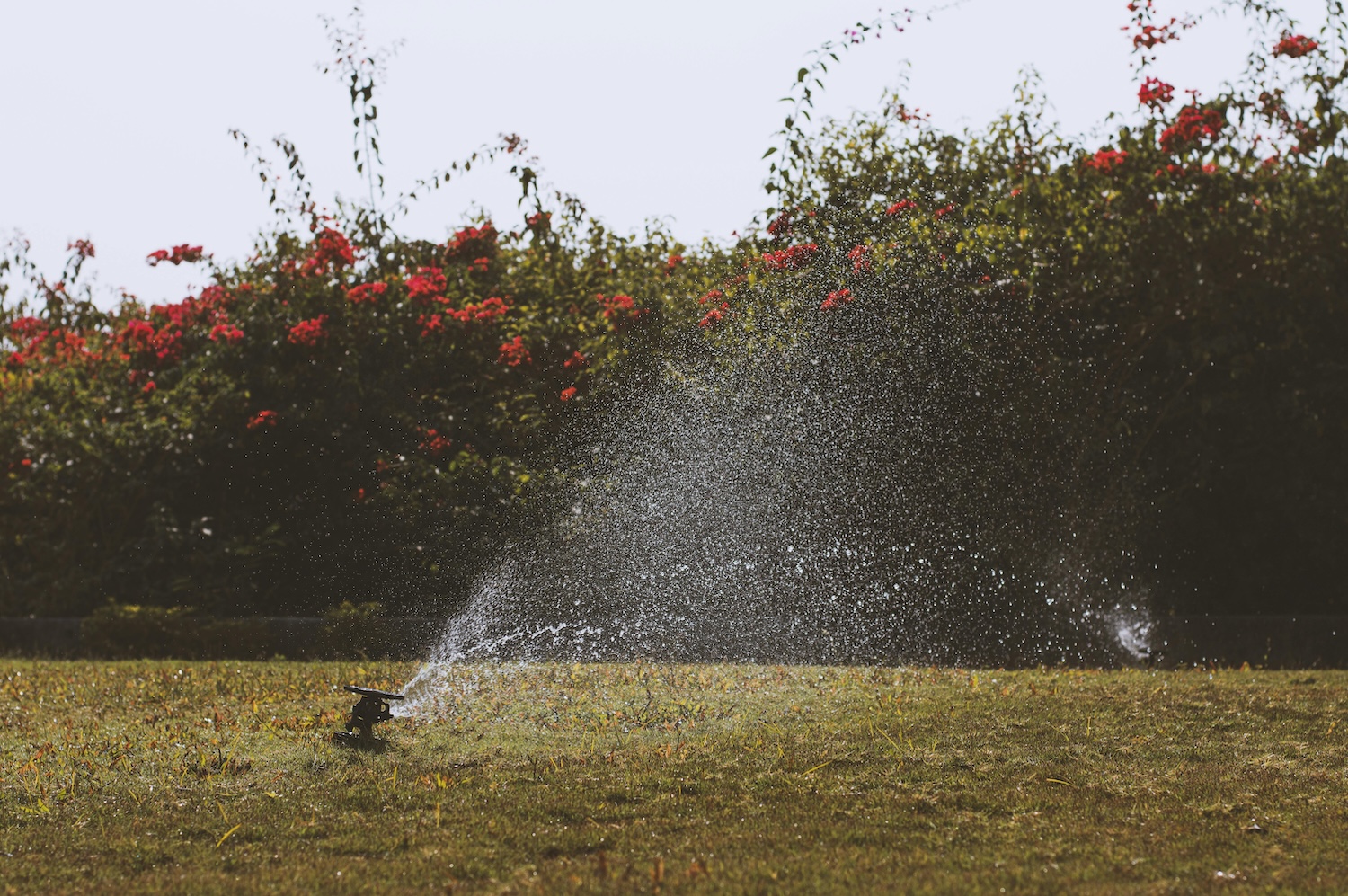 Sprinkler System Check Spring Utah