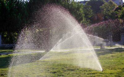 Utah’s Drought Rules & What They Mean for Your Yard This Spring