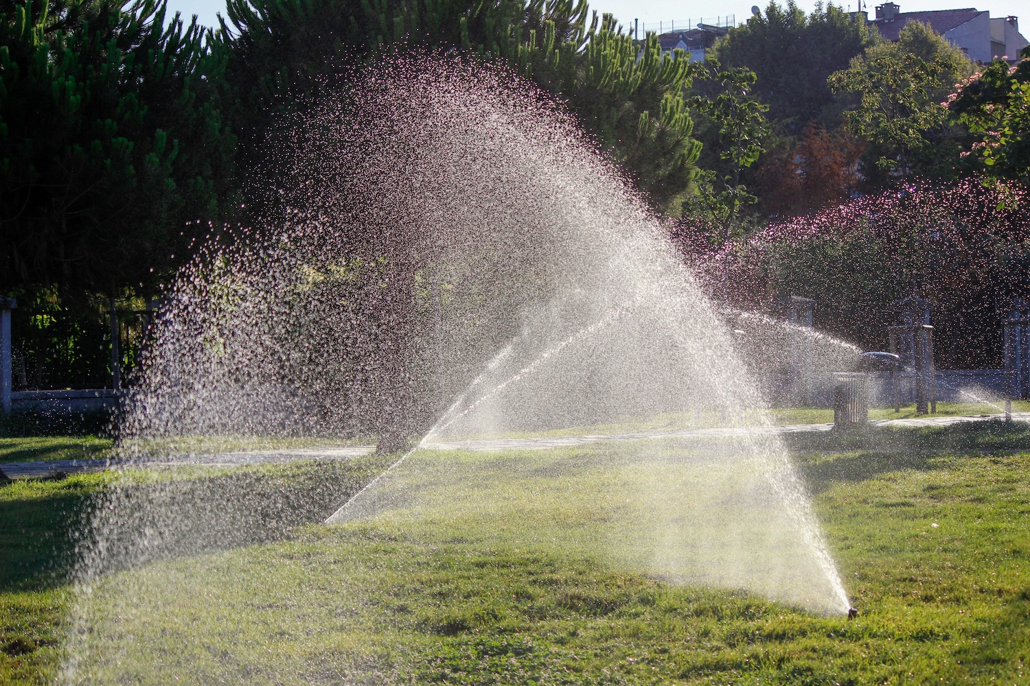 Utah’s-Drought-Rules-What-They-Mean-for-Your-Yard-This-Spring Utah’s Drought Rules & What They Mean for Your Yard This Spring