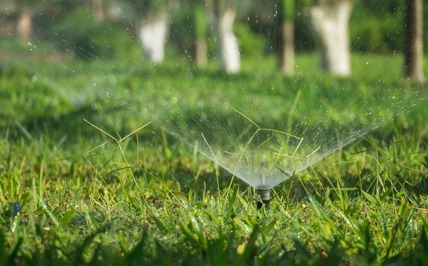 Lawn sprinkler watering grass as part of a residential outdoor irrigation system.
