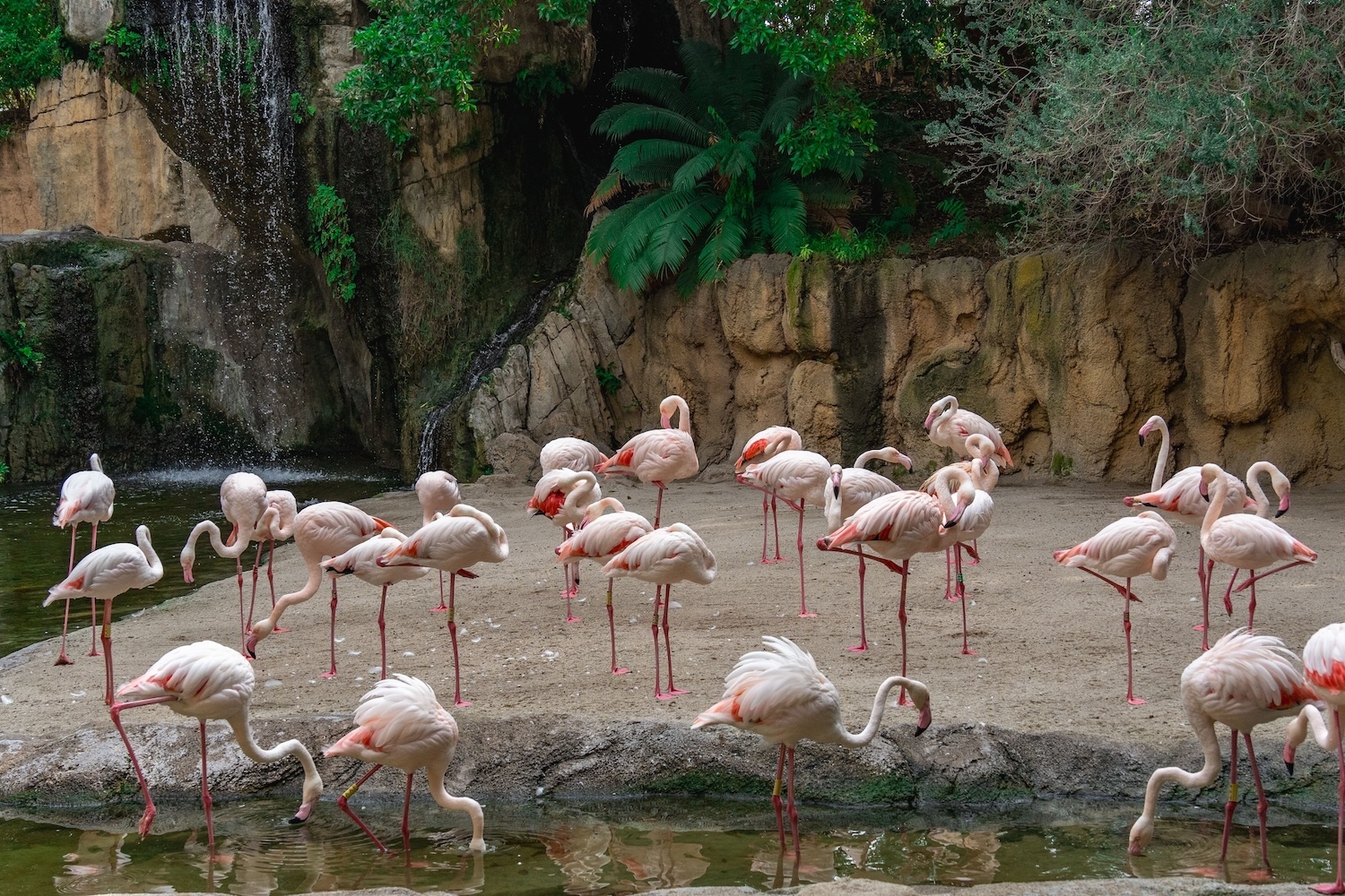 Utah Hogle Zoo fall events